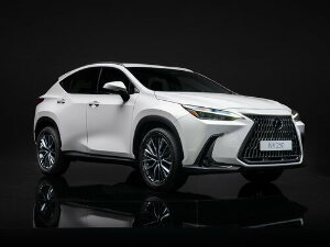 Коврики текстильные для Lexus NX 250 II (suv / SUV) 2021 - Н.В.