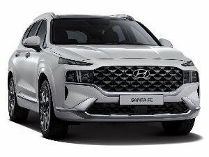 Коврик ЭВА "" для Hyundai Santa Fe IV (suv  5 мест / TM) 2021 - Н.В., ые, 1шт.